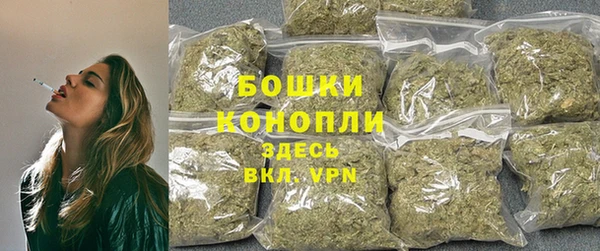 бутират Белокуриха