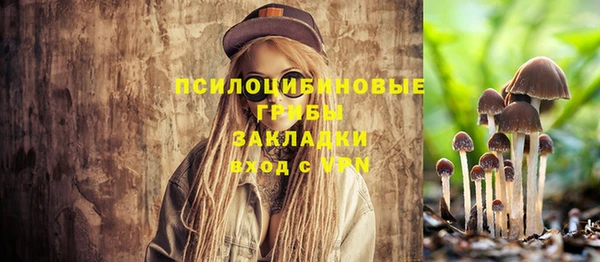 трава Баксан